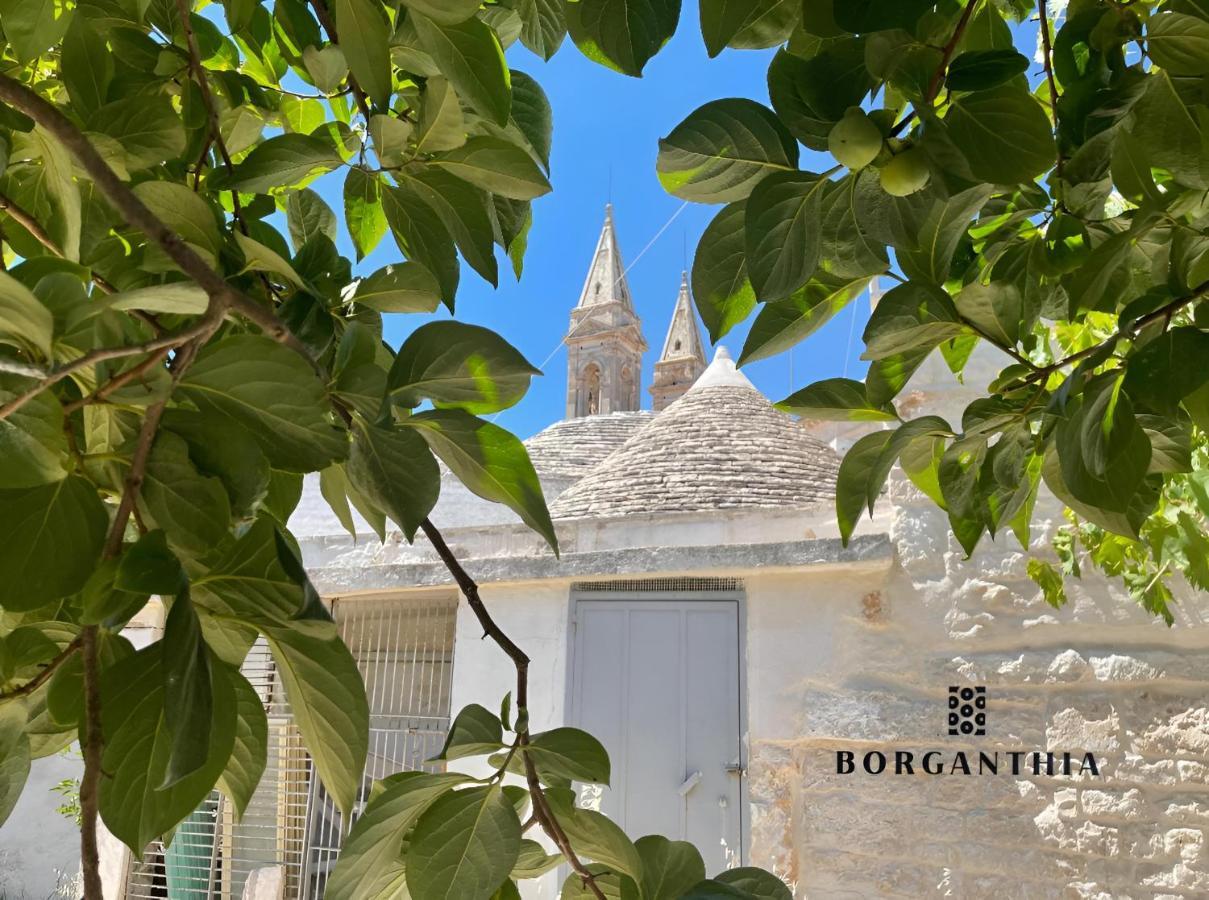 Borganthia - Il Chiostro Dei Medici Ξενοδοχείο Αλμπερομπέλο Εξωτερικό φωτογραφία